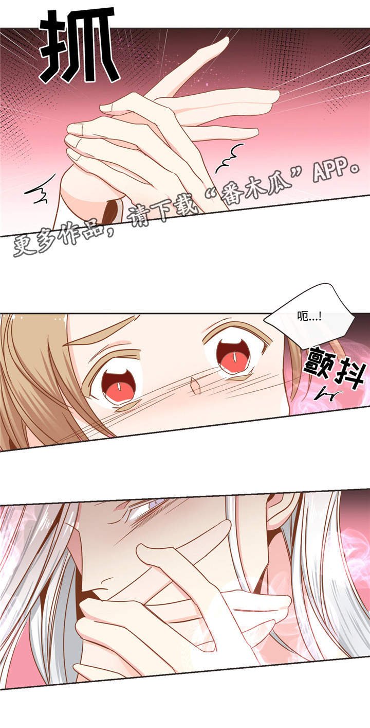 第54章：猫毛