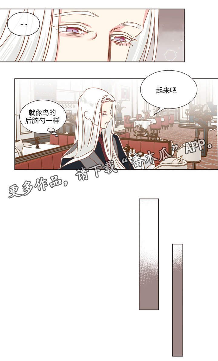 第60章：十个问题