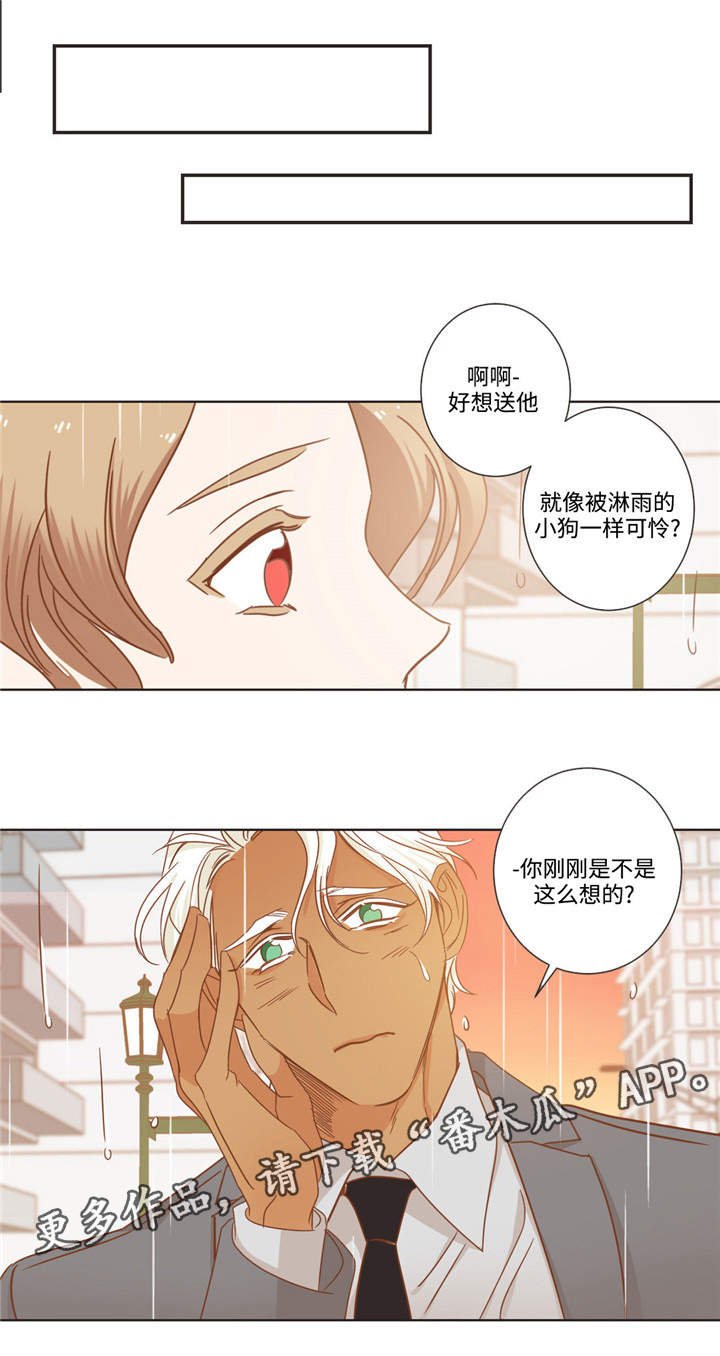 第64章：伤心了吗