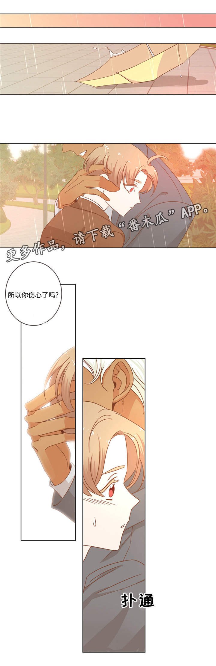 第64章：伤心了吗