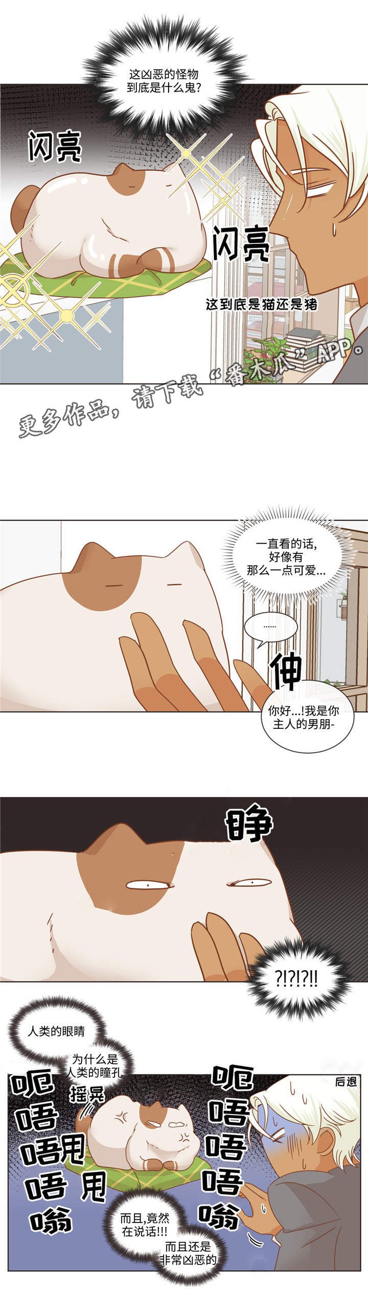 第66章：多滴