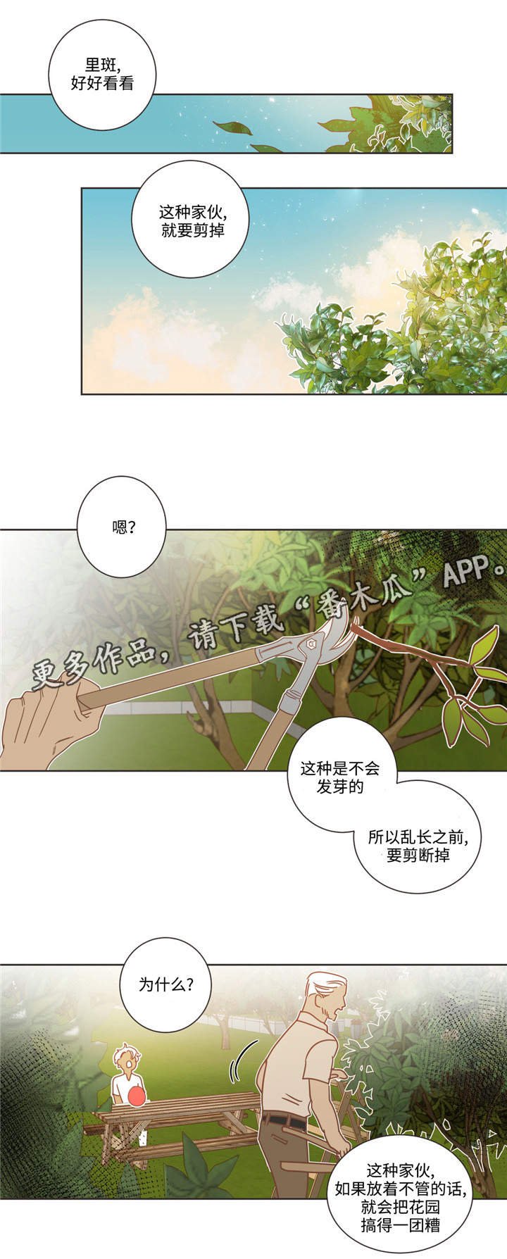 第68章：什么关系