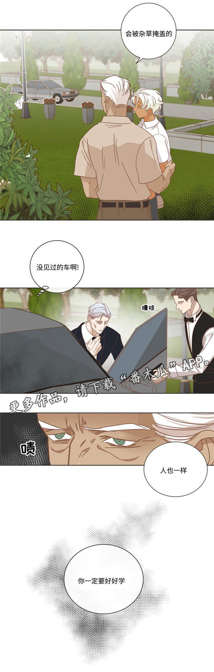 第68章：什么关系