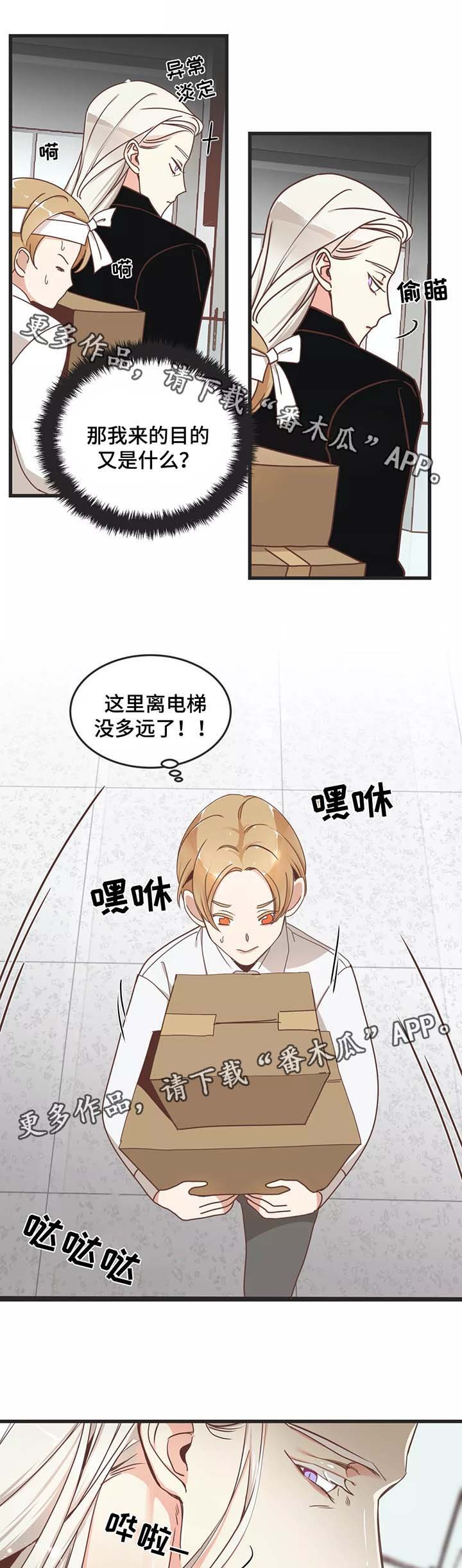 第81章：搬东西