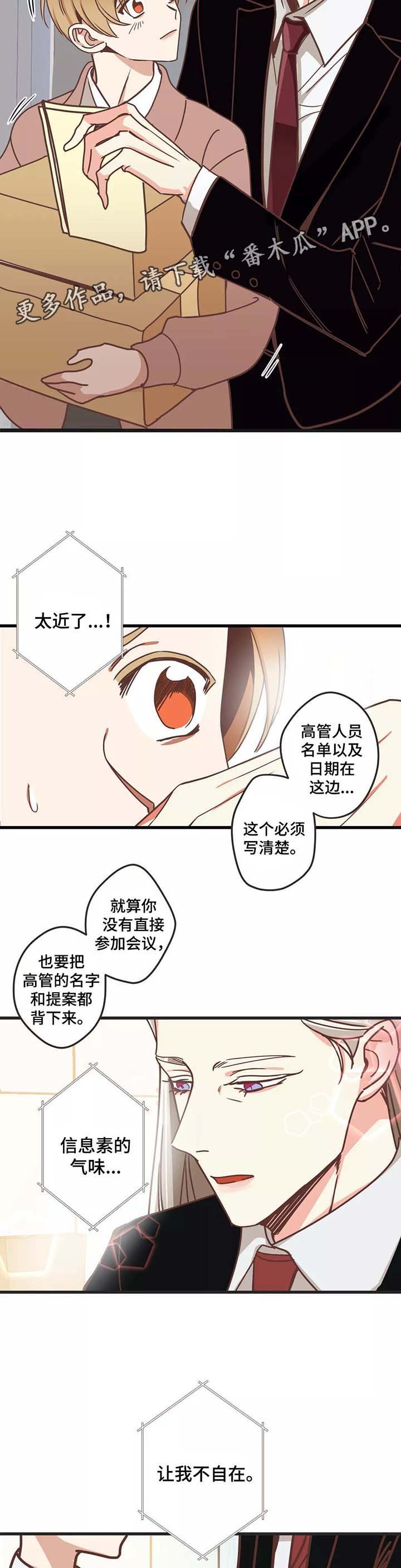 第82章：碰面