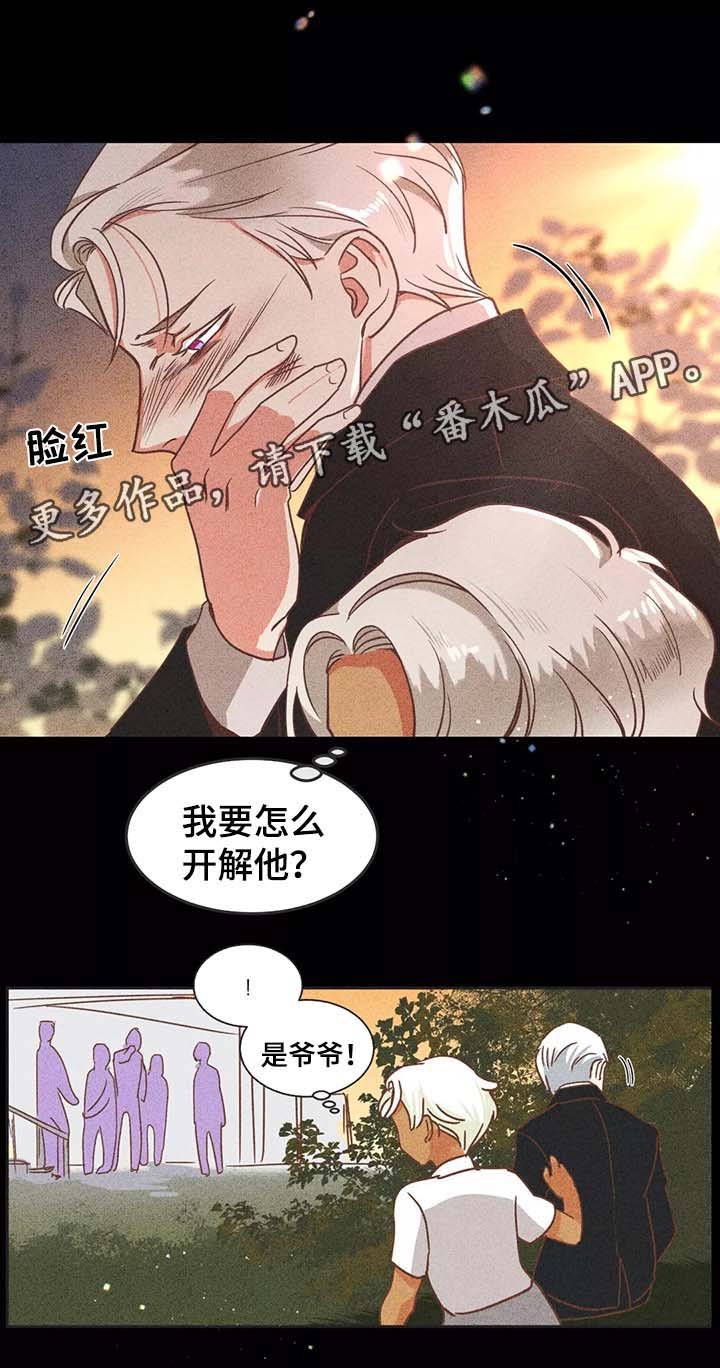 第94章：过去的记忆