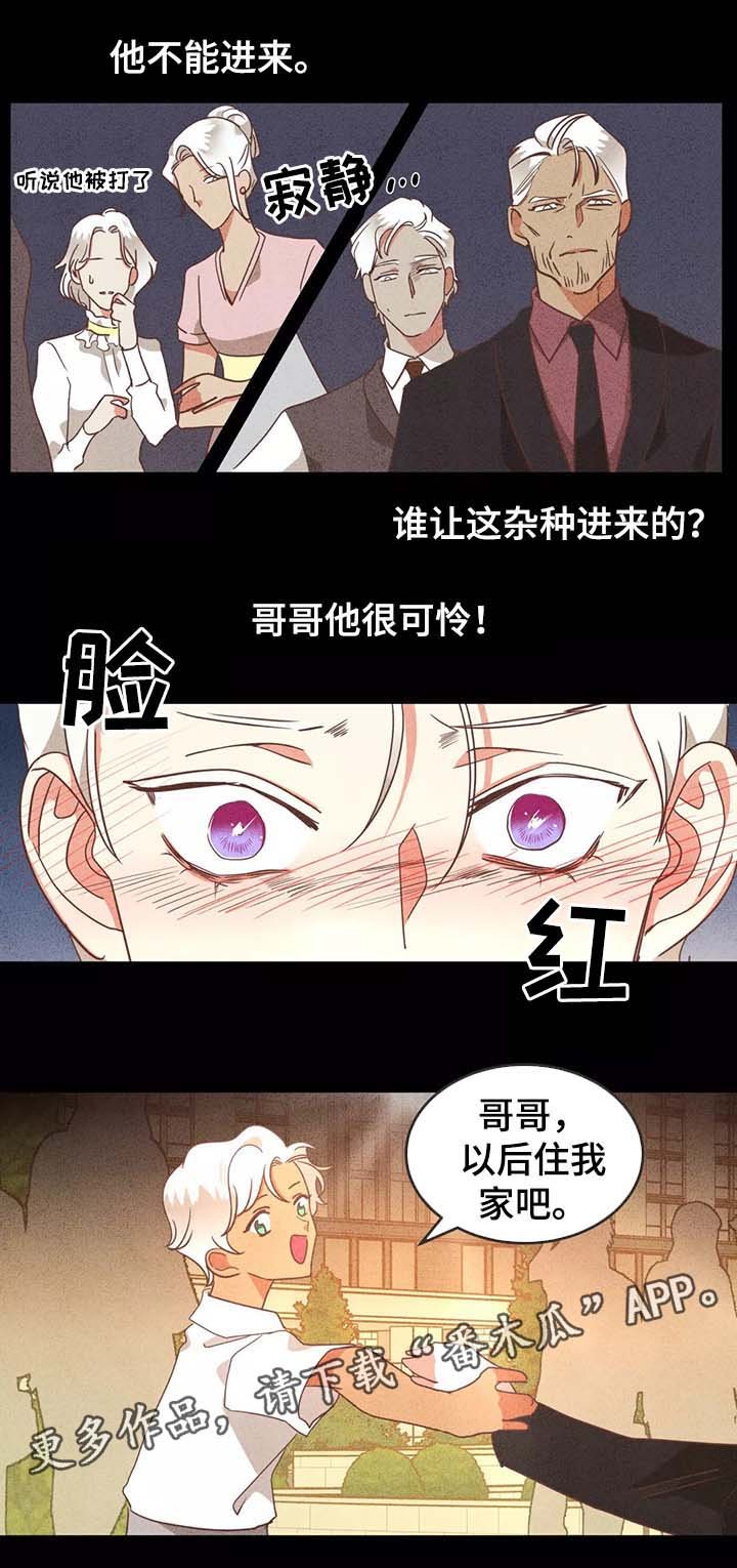 第95章：别再插手我的爱情