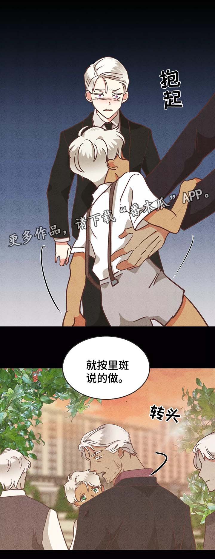 第95章：别再插手我的爱情