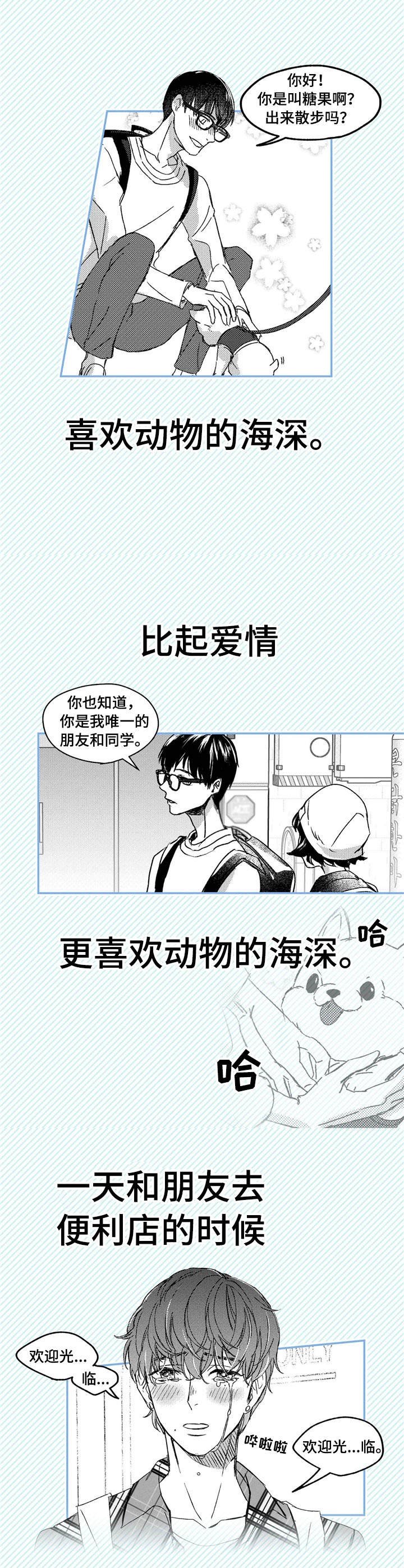 第1章：小动物