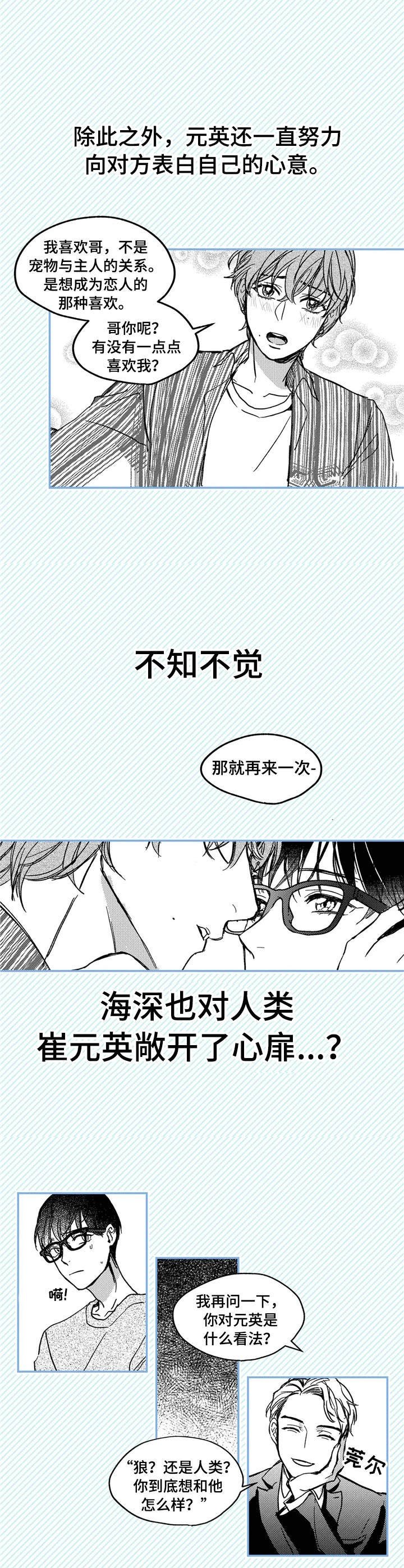 第1章：小动物