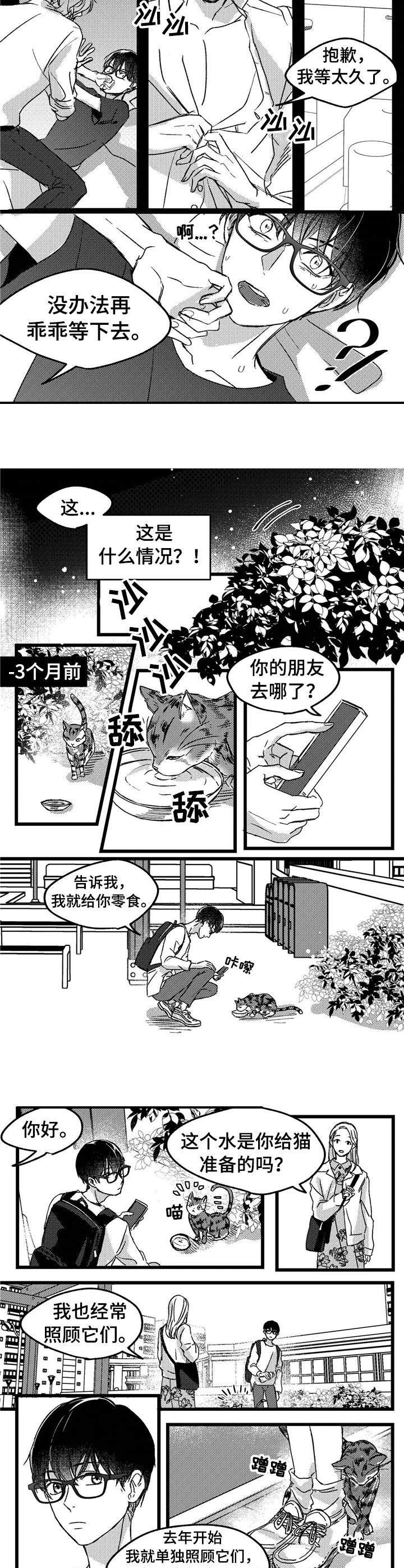 第1章：小动物