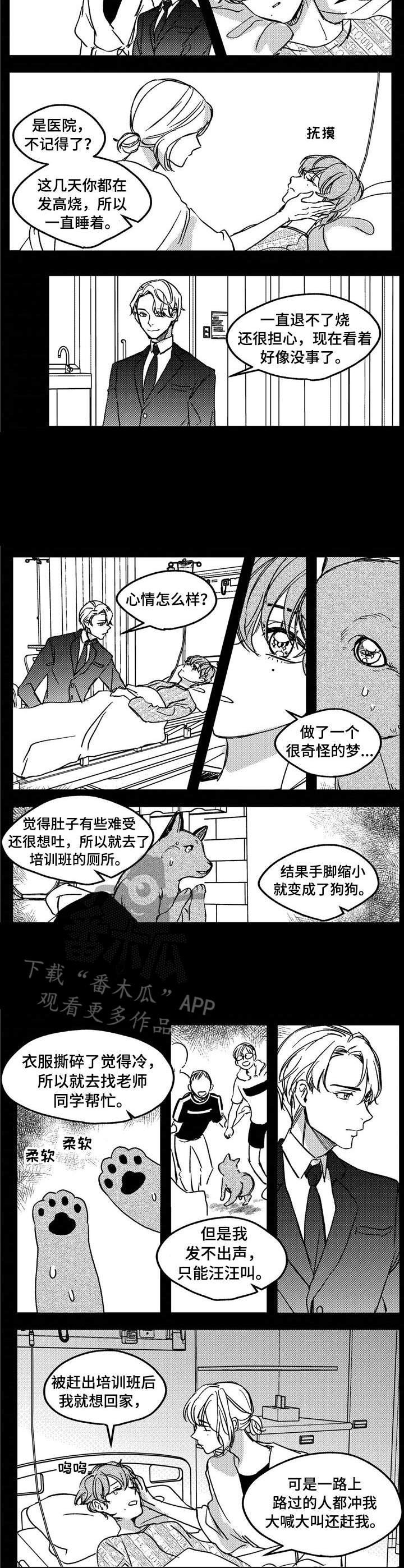 第11章：不是失误