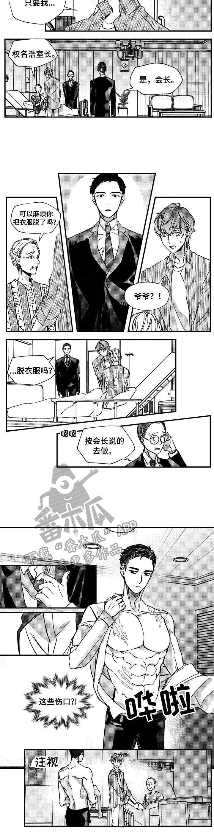 第13章：伤痕