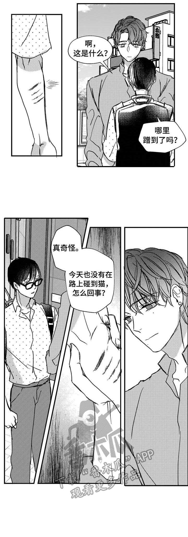 第14章：约会