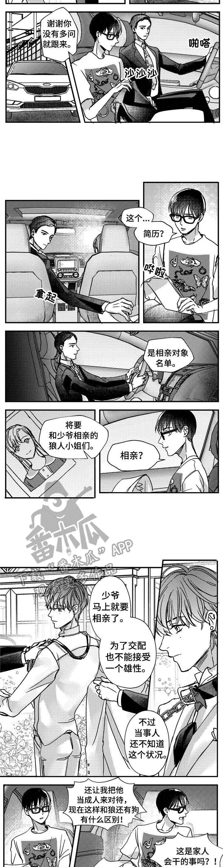 第15章： 聚会
