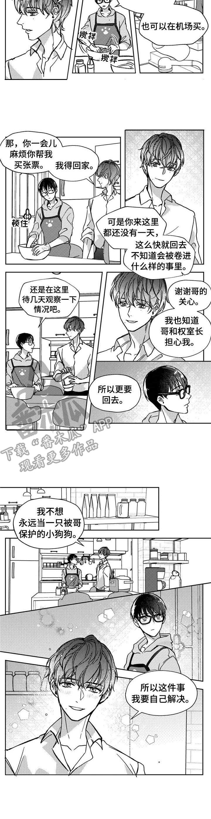 第19章：辩论