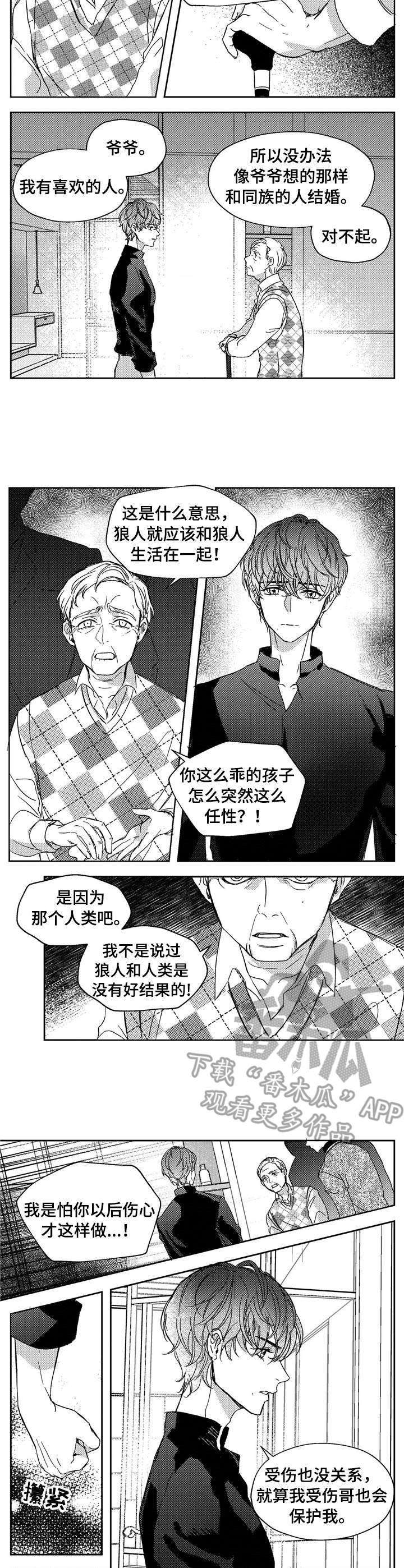 第19章：辩论