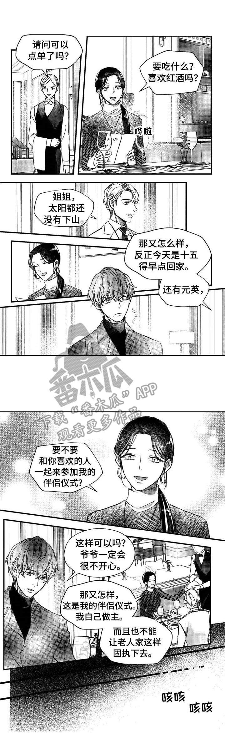 第23章：背带