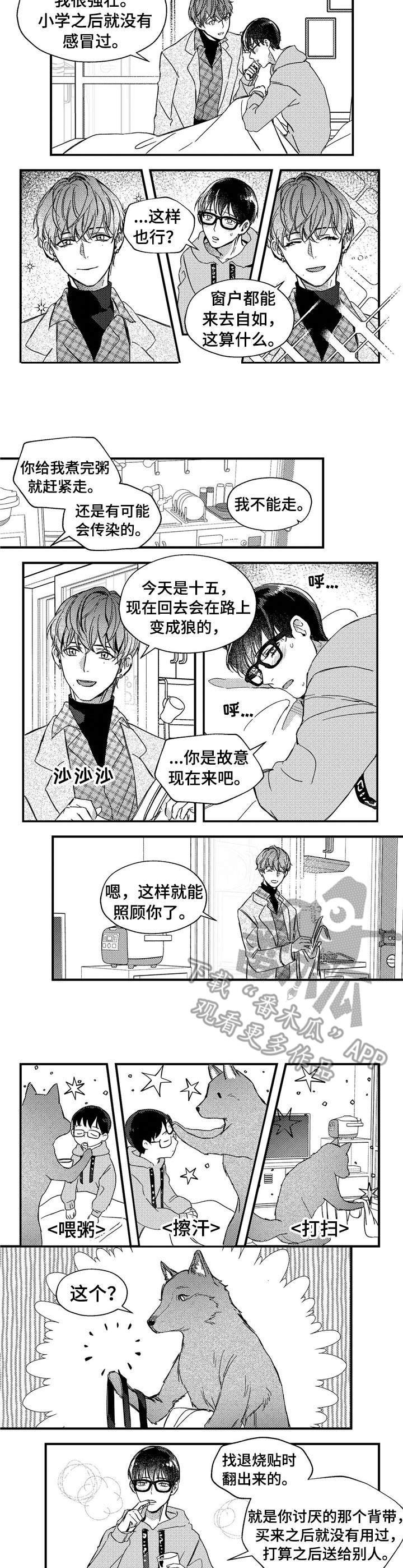 第23章：背带