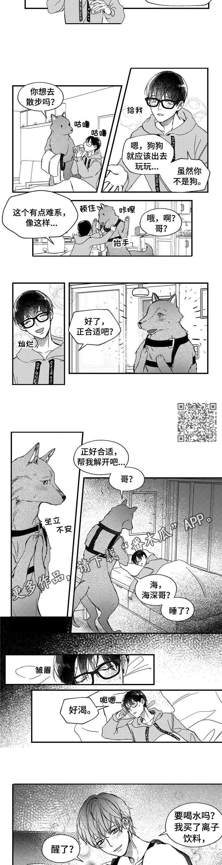 第23章：背带