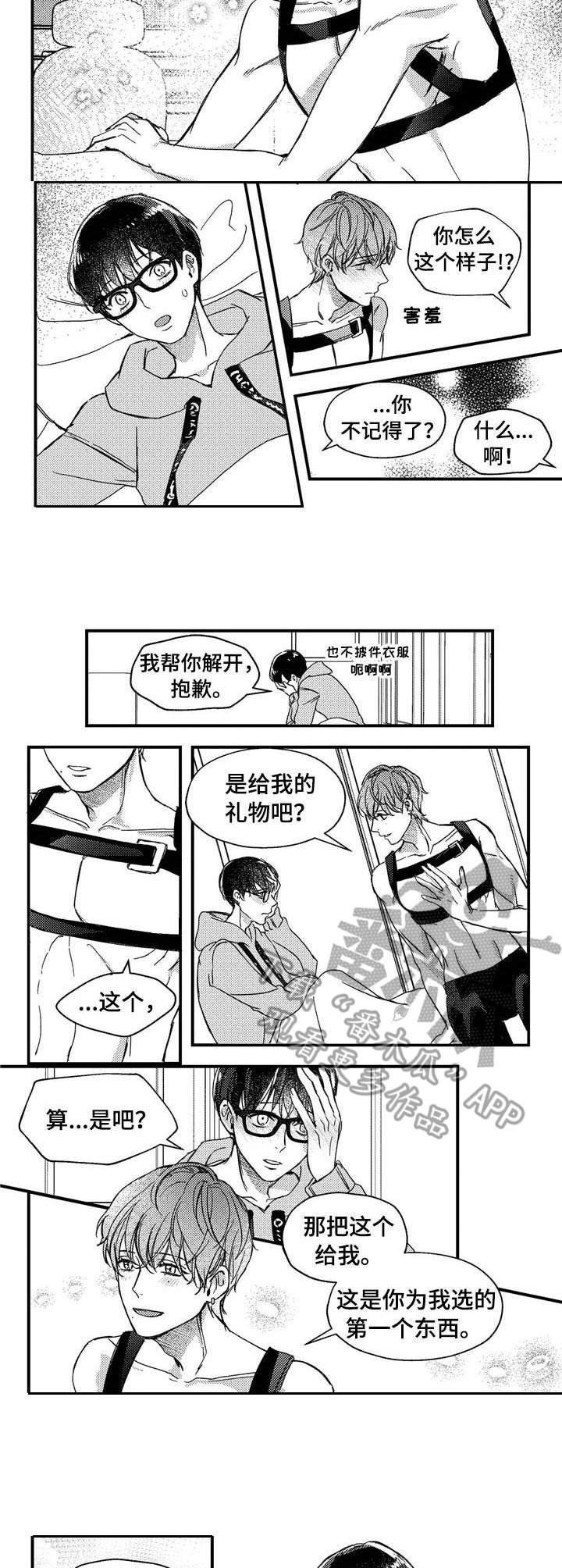 第23章：背带