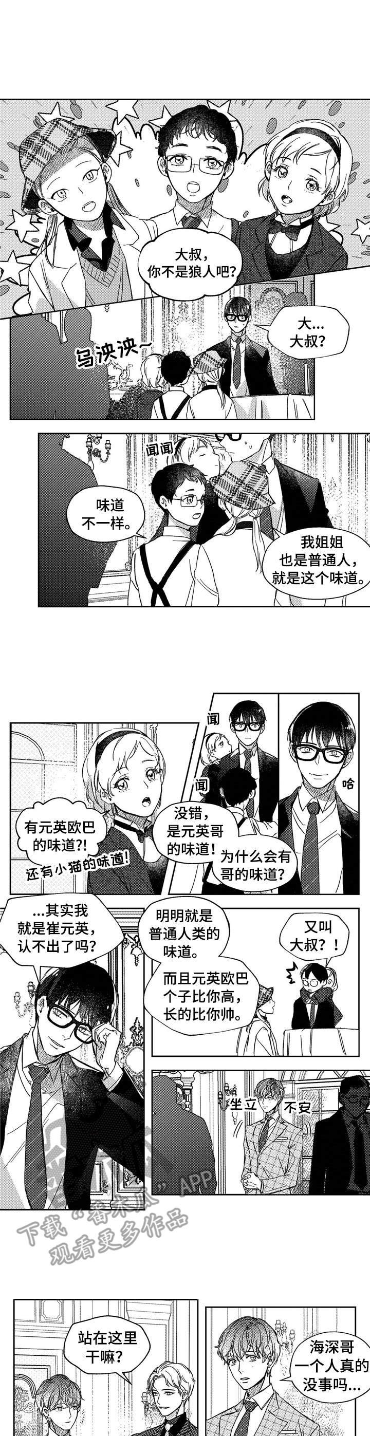 第23章：背带