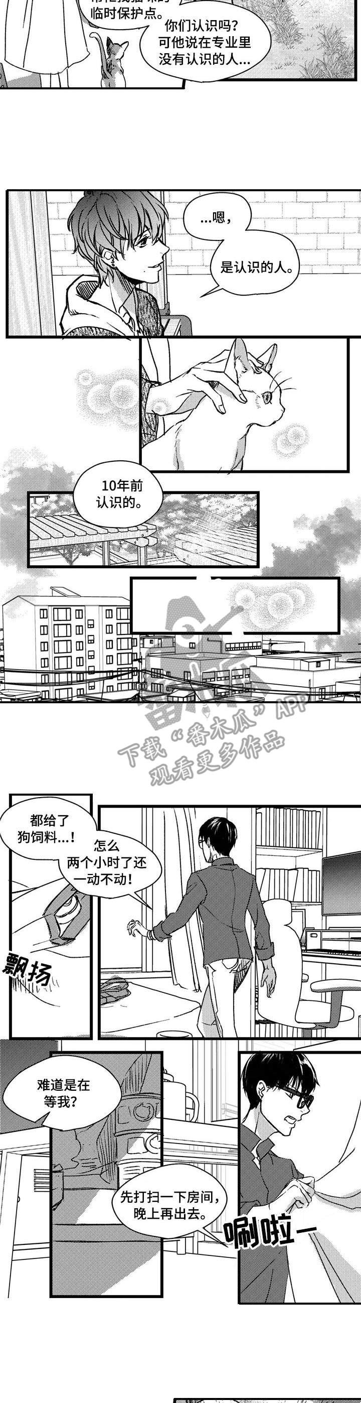 第3章：跟踪