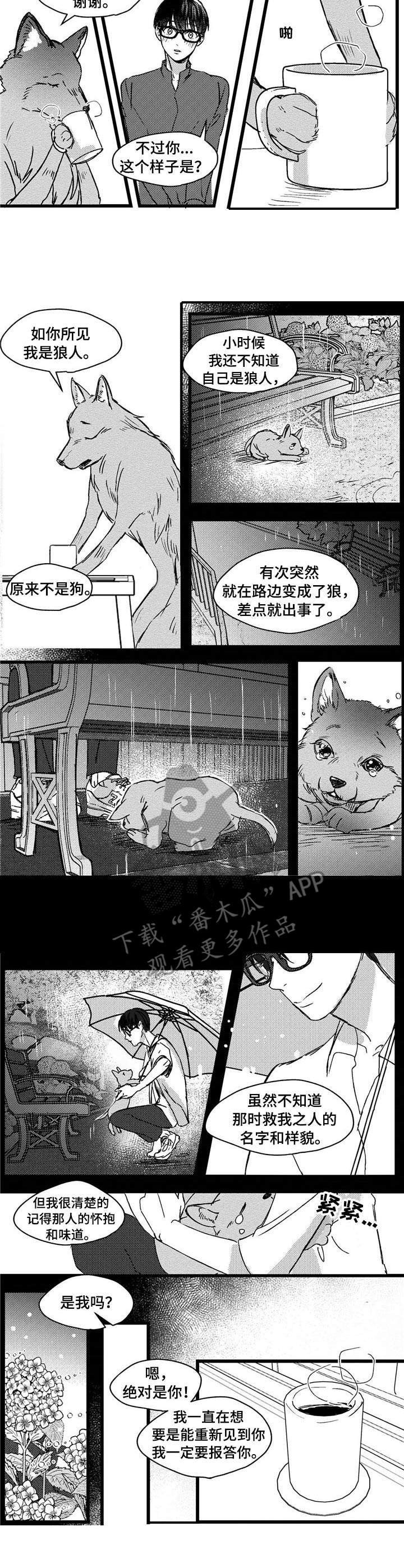 第4章：狼人