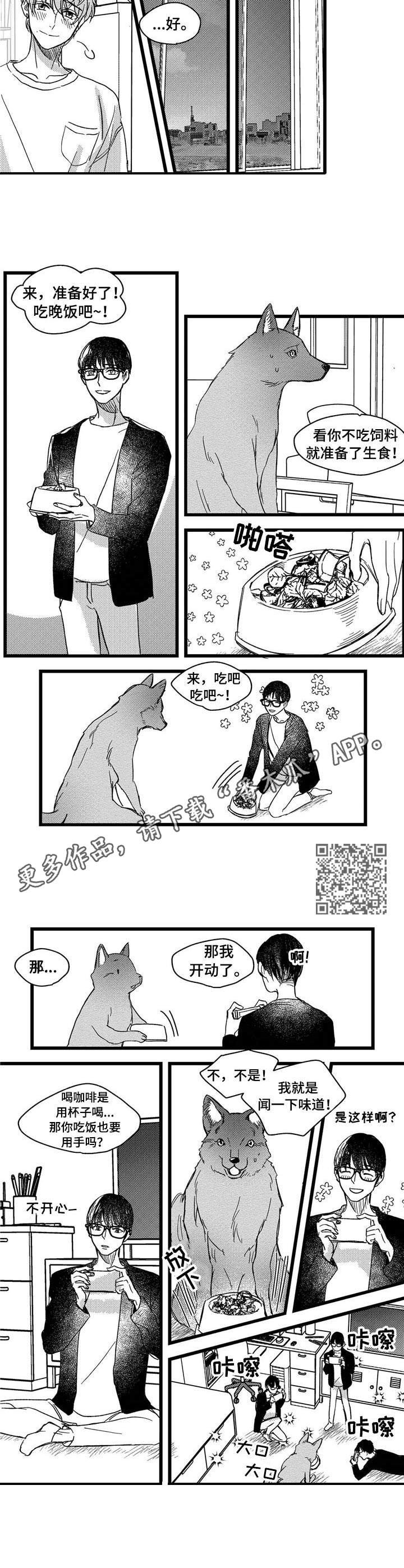第5章：洗一洗