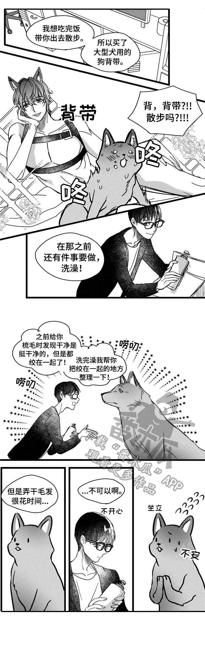 第5章：洗一洗