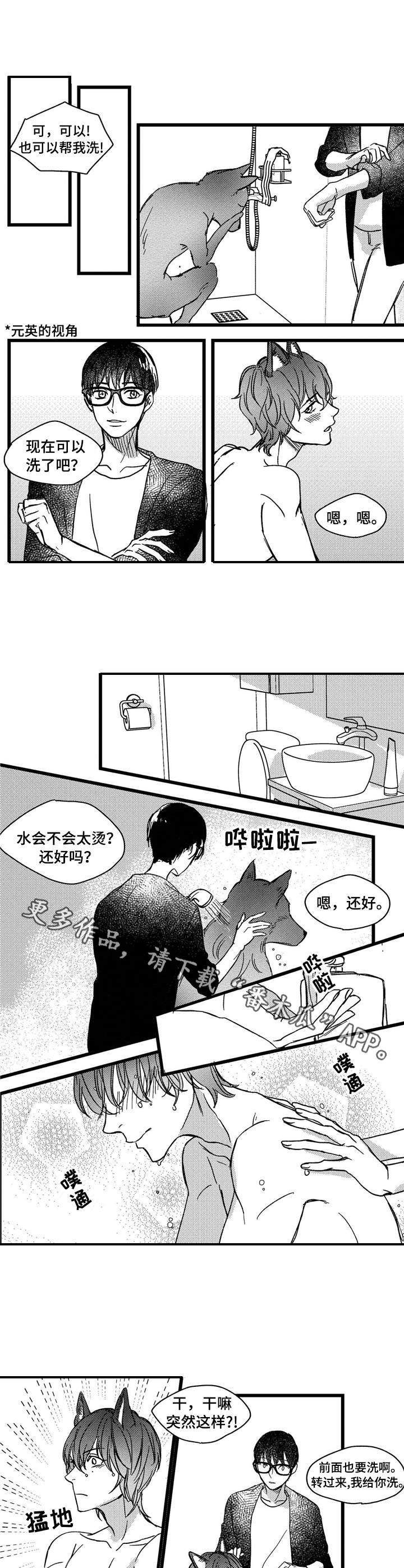 第5章：洗一洗