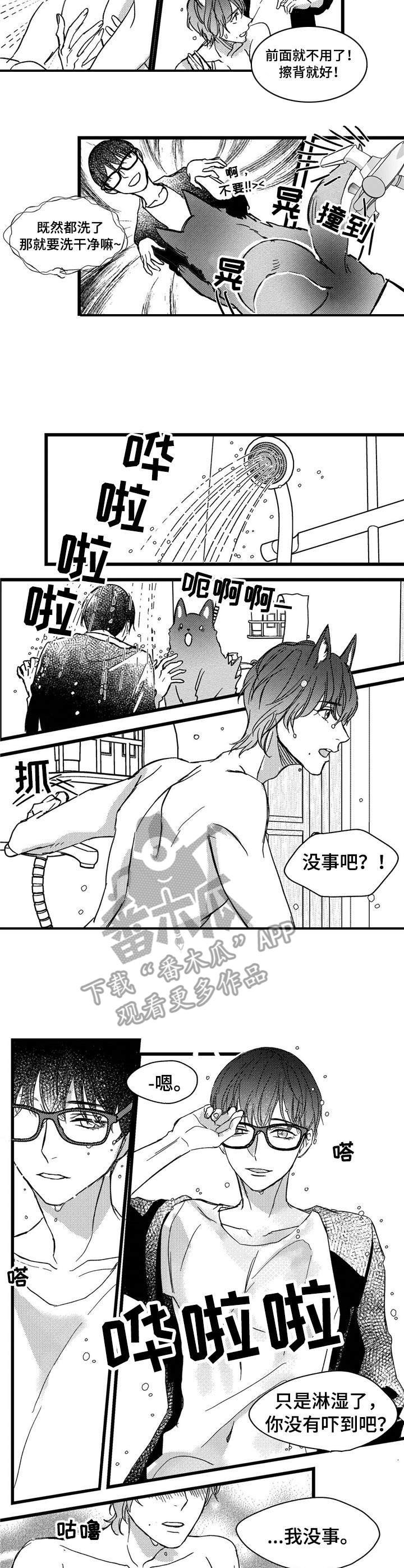 第5章：洗一洗