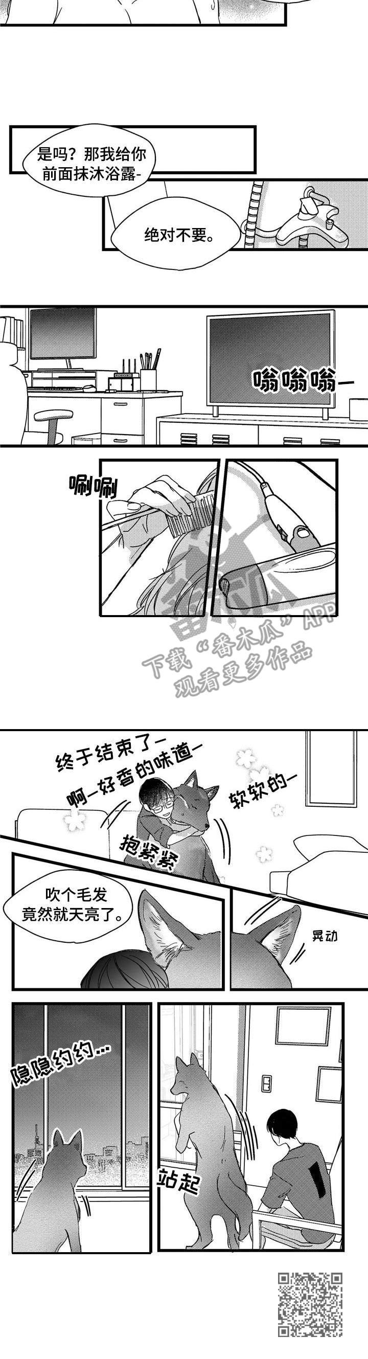 第5章：洗一洗