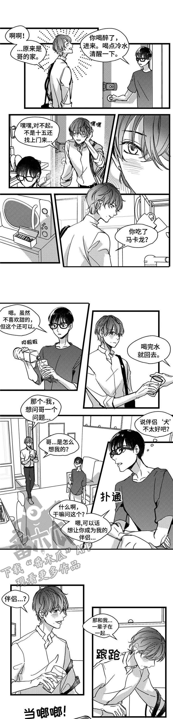 第7章：小猫