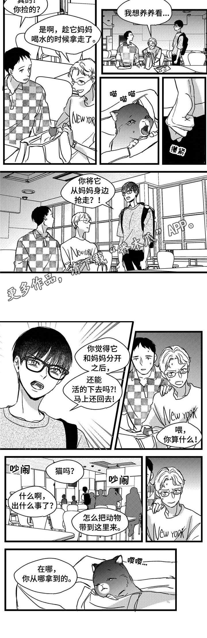 第7章：小猫