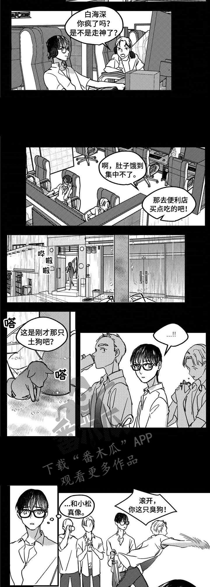 第9章：流浪狗