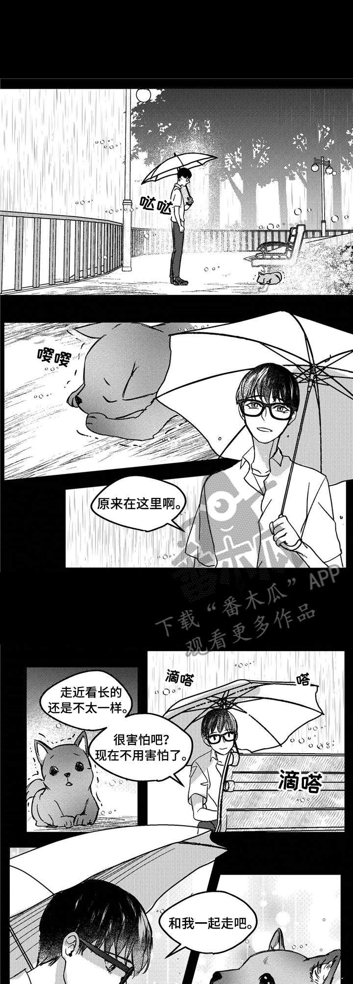 第9章：流浪狗