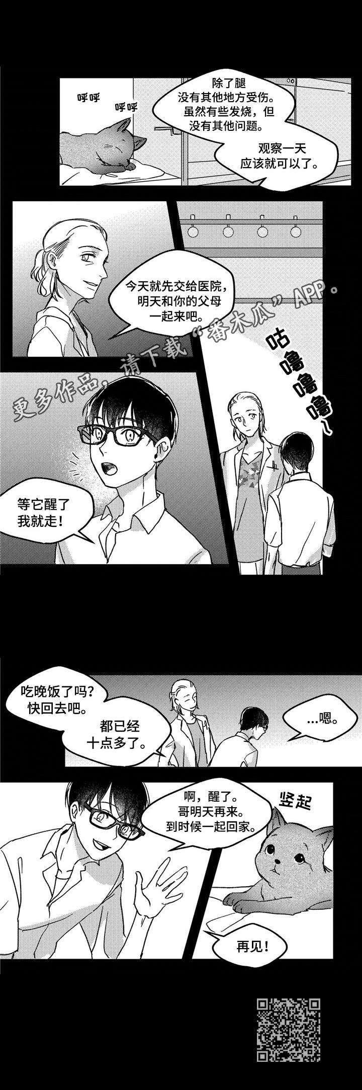 第9章：流浪狗