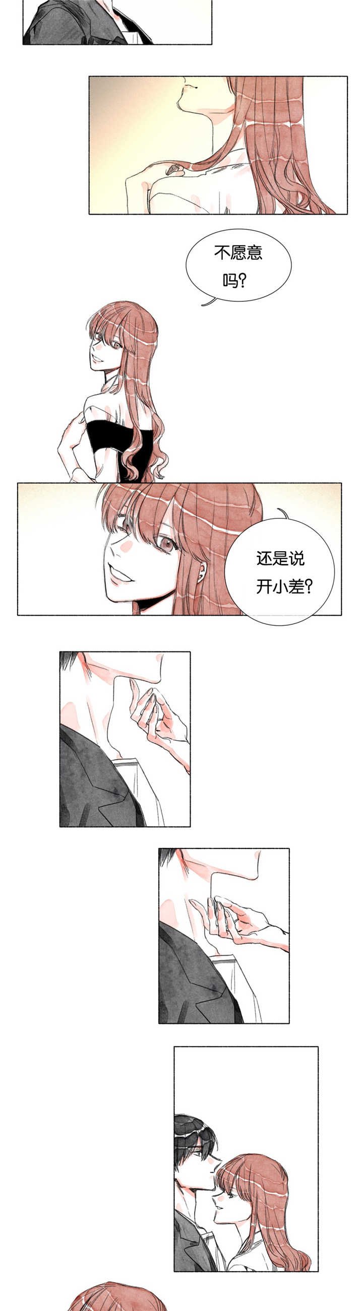 第14章：阴影