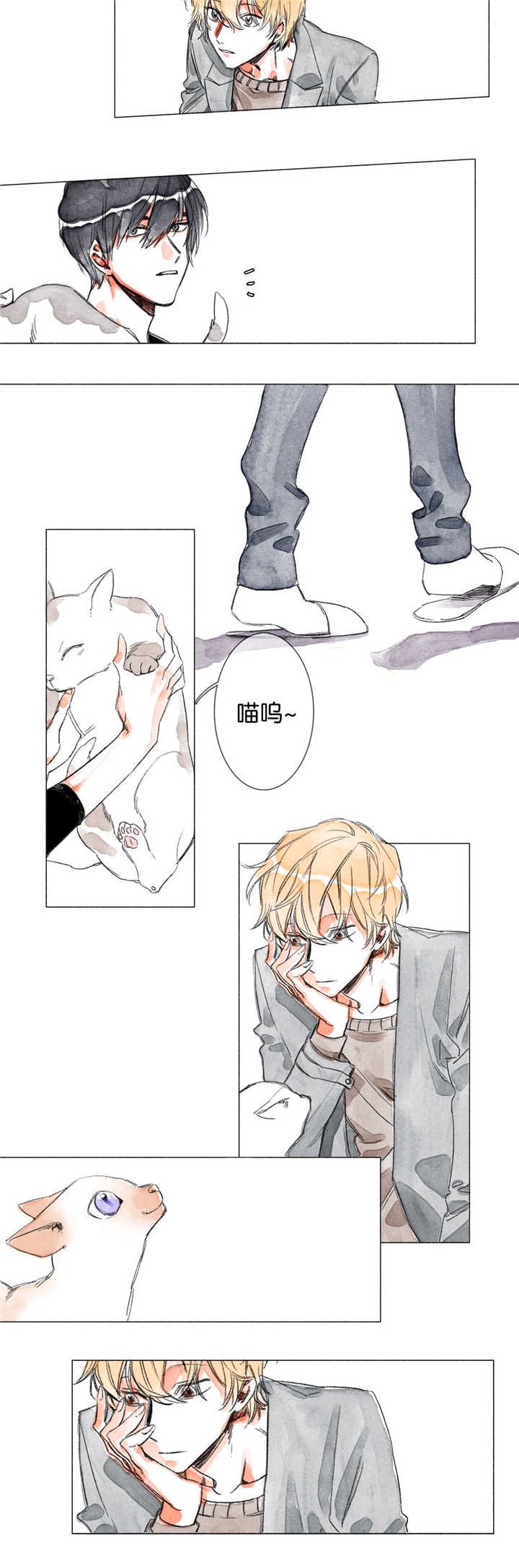 第6章：第一次见
