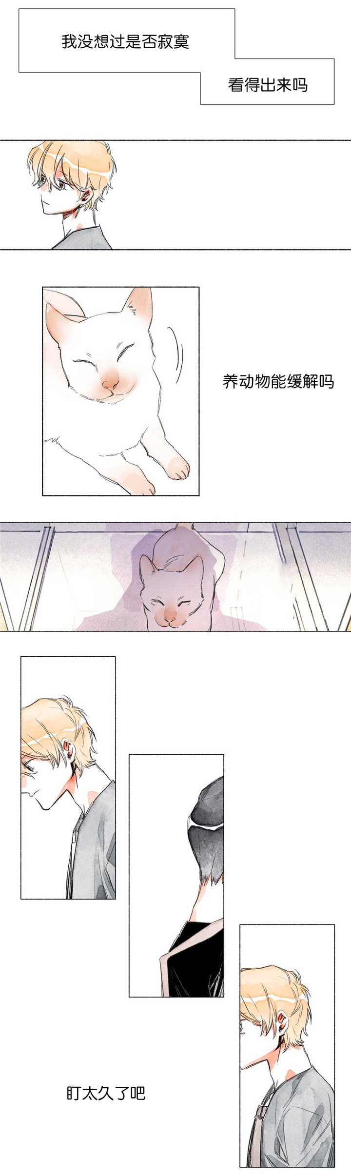 第6章：第一次见