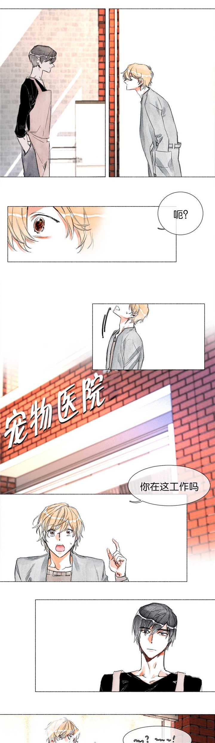 第6章：第一次见