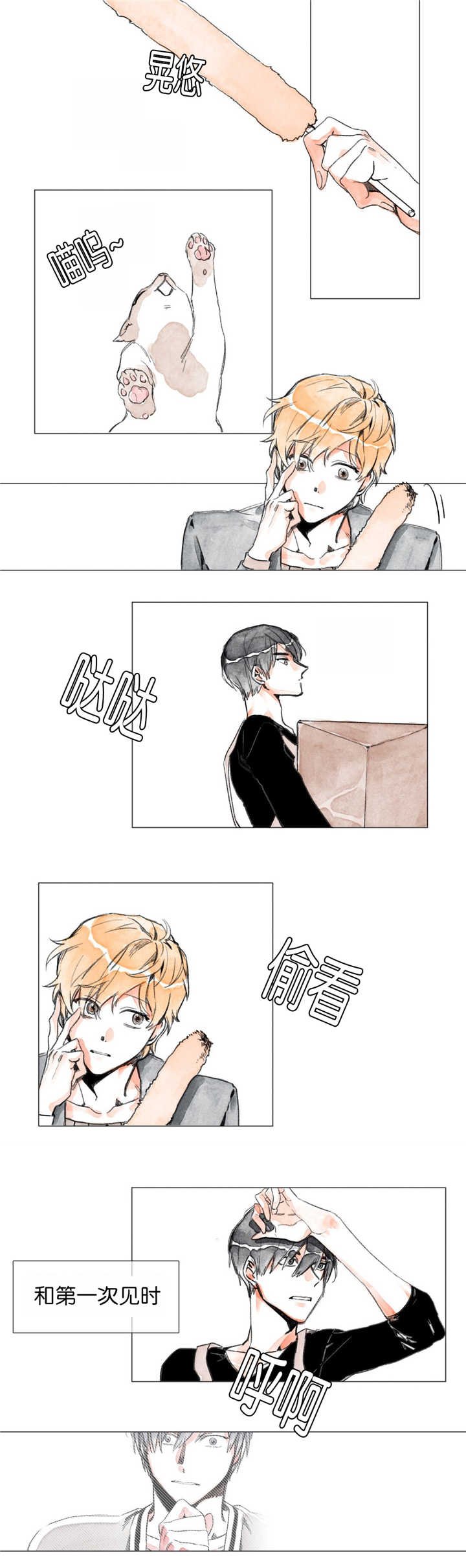 第6章：第一次见