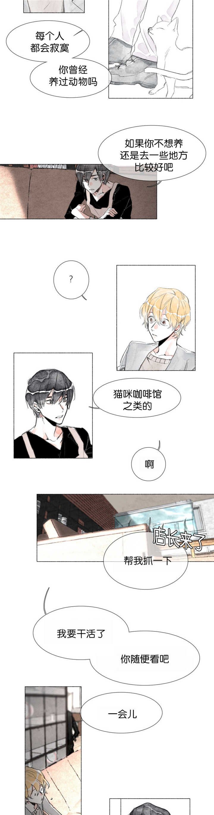 第7章：遐想