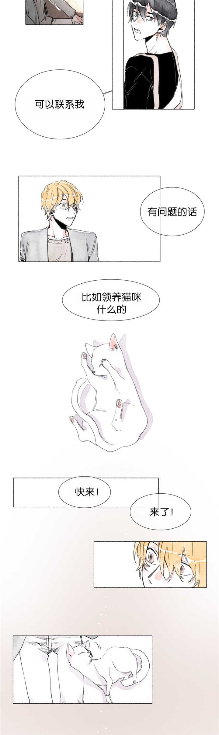 第7章：遐想