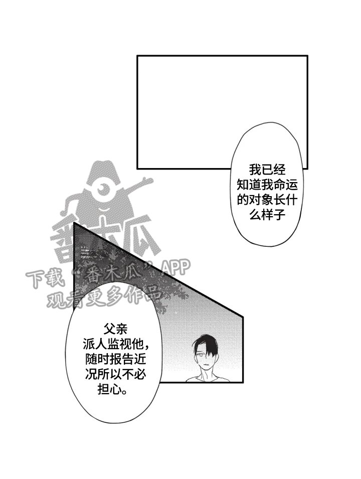 第19章：坦白