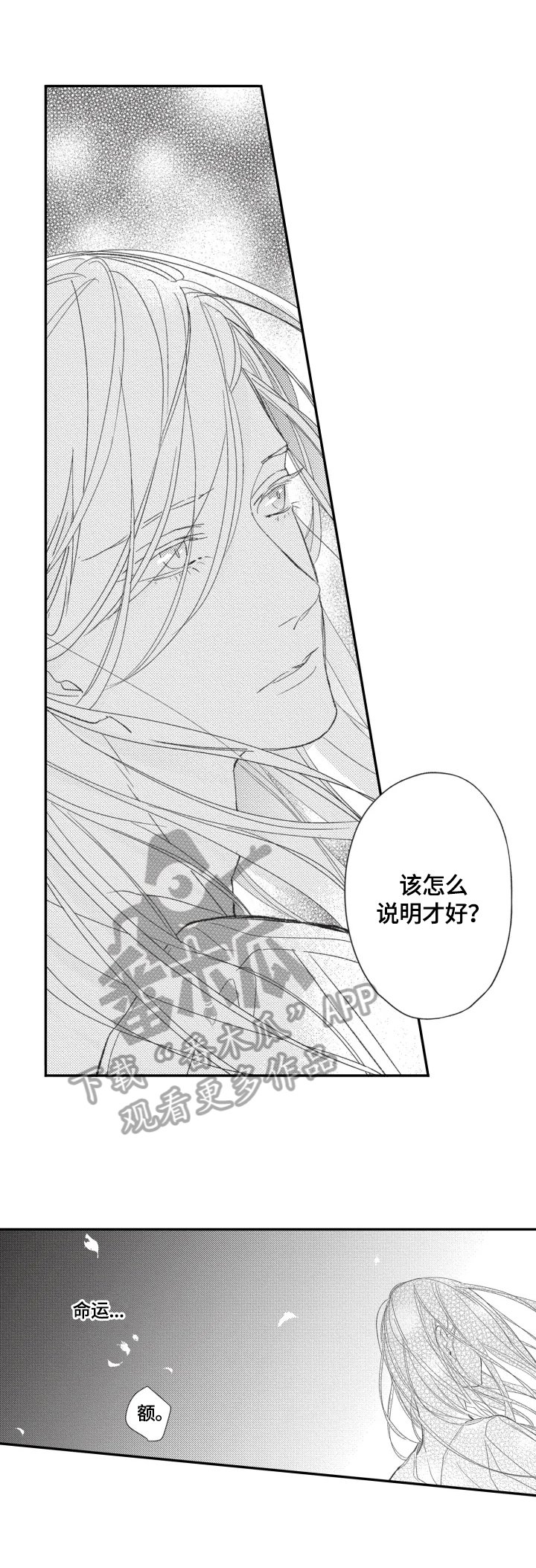 第19章：坦白