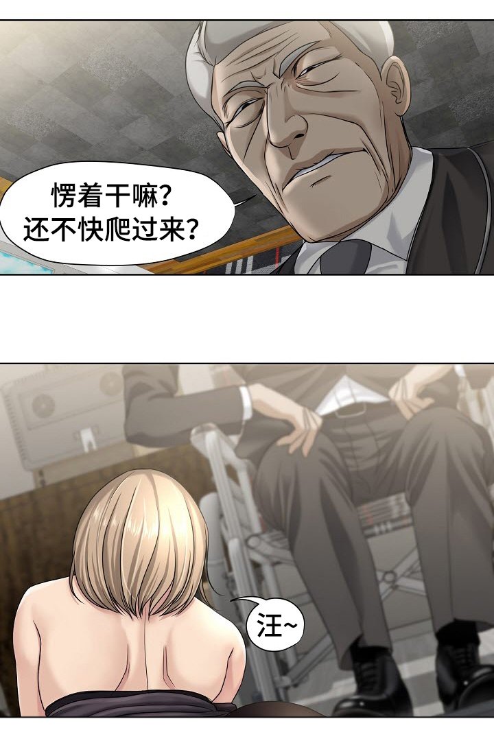 第11章：比较