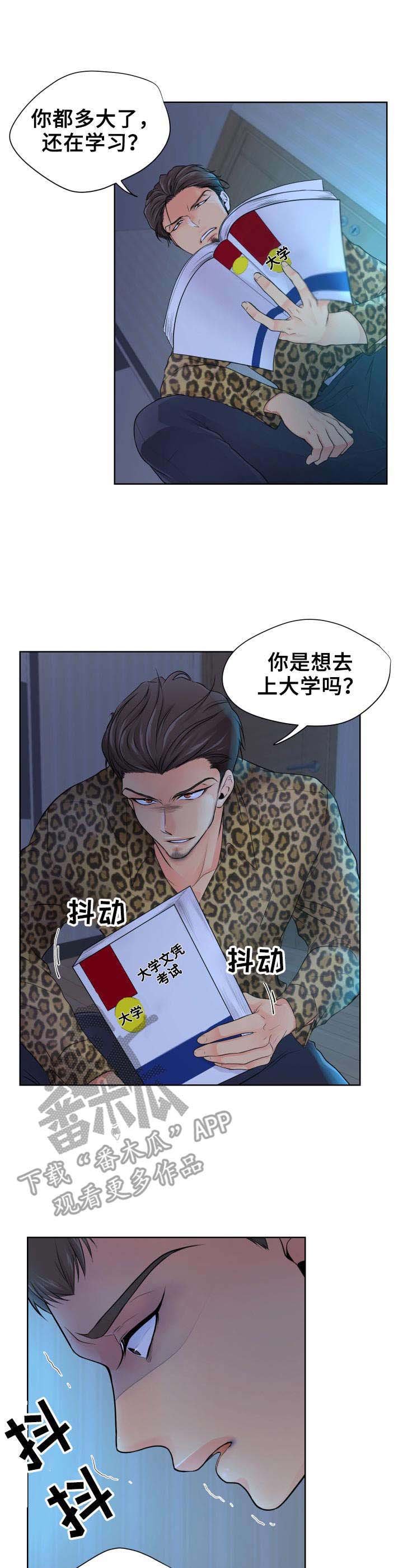 第11章：暴力