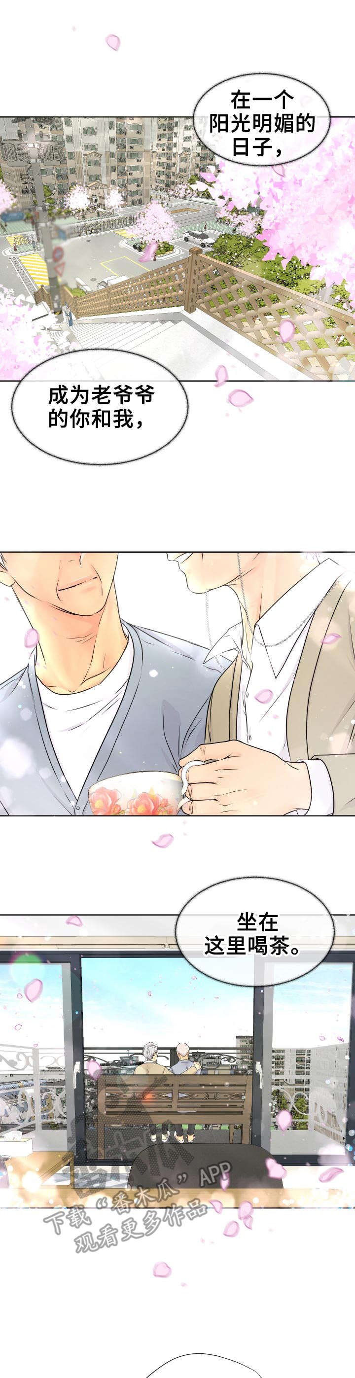 第19章：开始行动